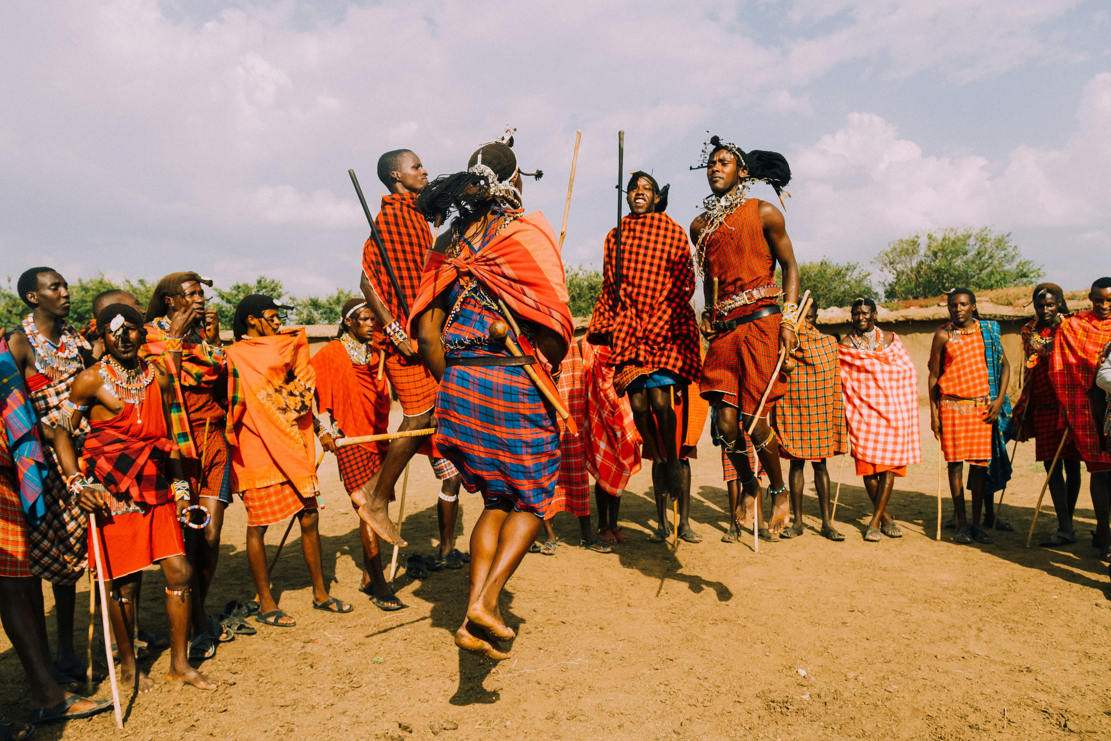 Tanzania Wildlife Safari