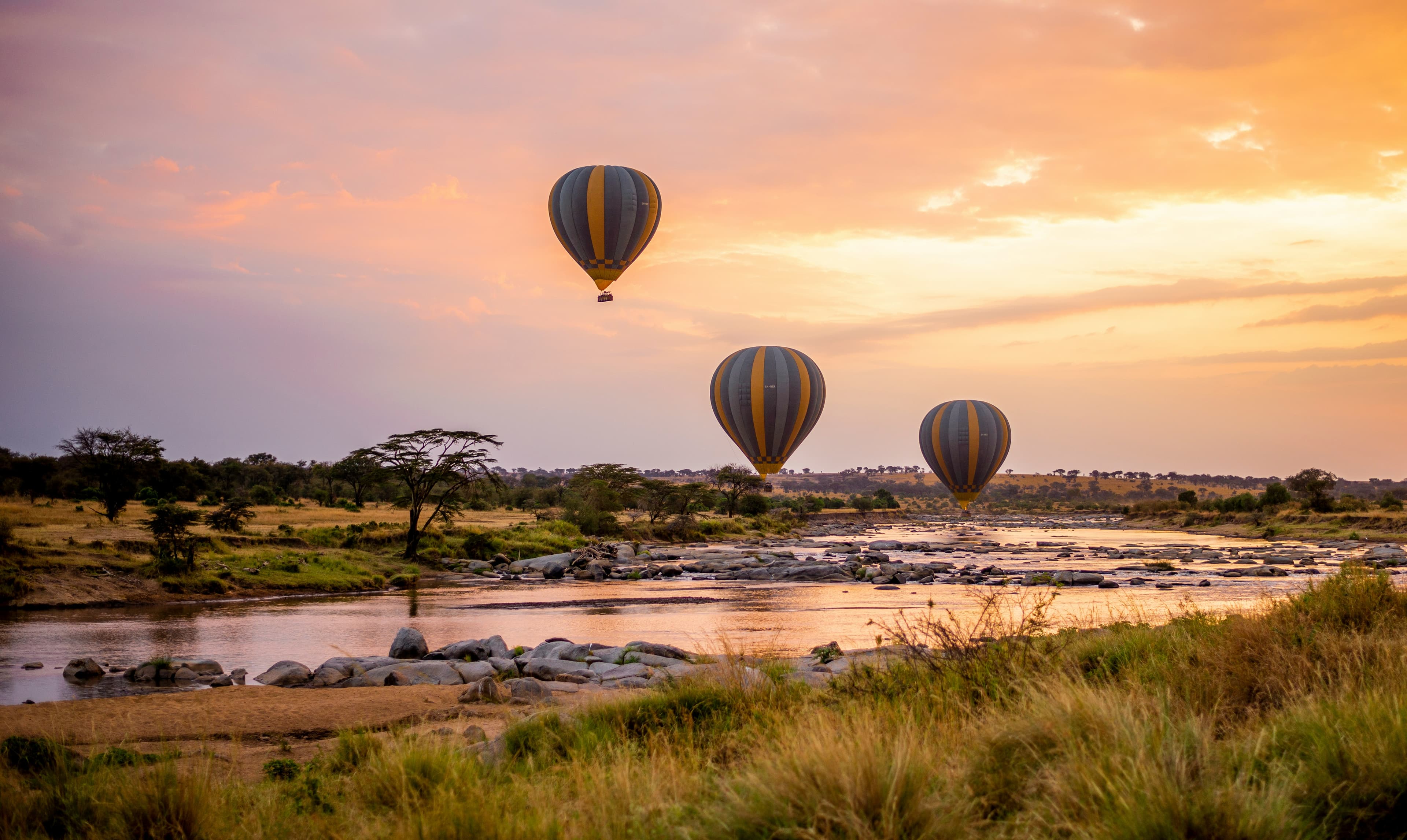 Grand Northern Circuit Safari